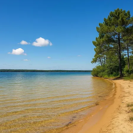 Feel Mh 129 * Gastes