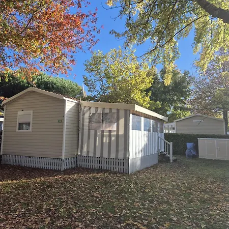 캠프장 Feel Mh 129